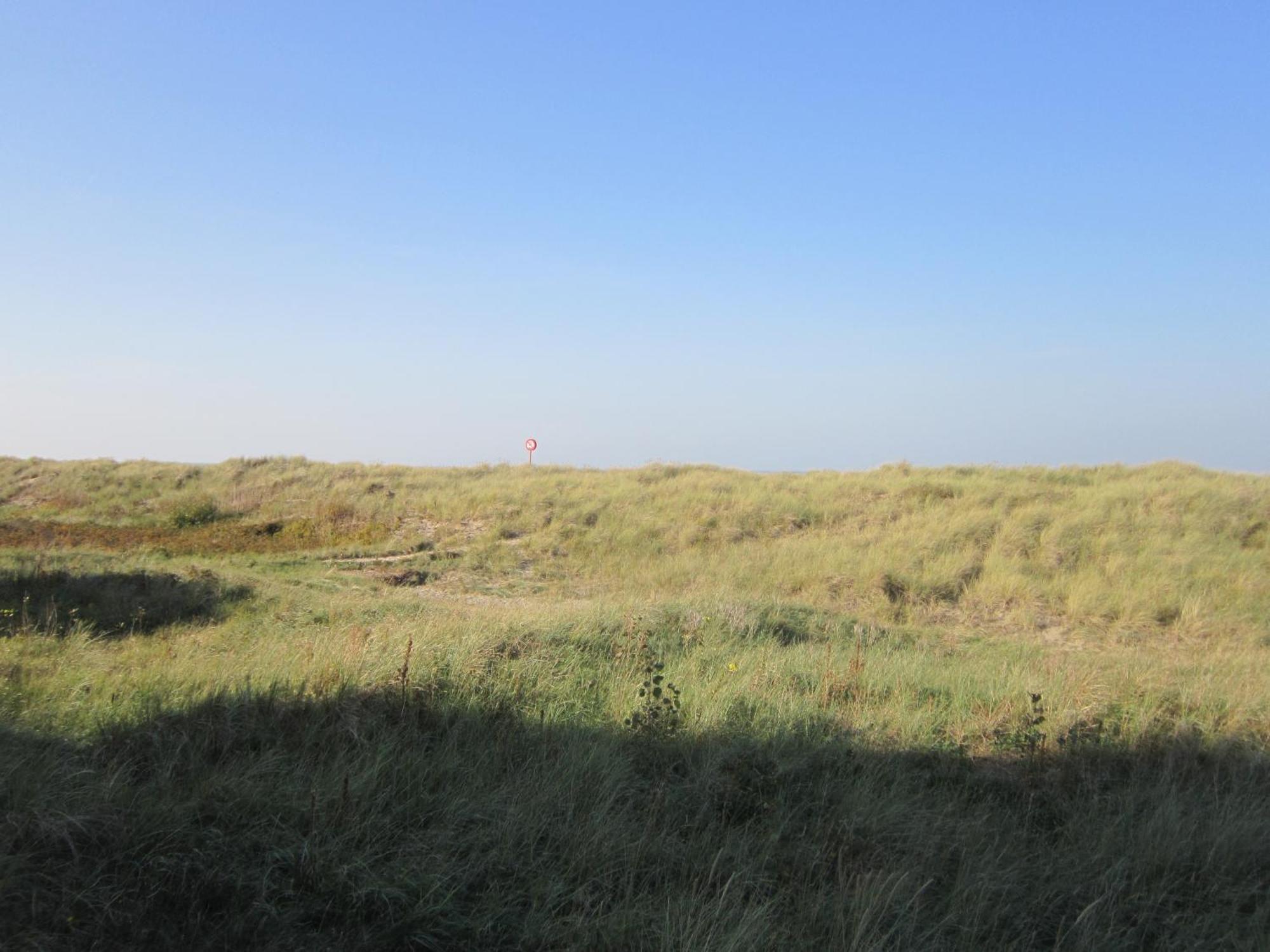 Ferienwohnung Zoutezoute Knokke-Heist Exterior foto